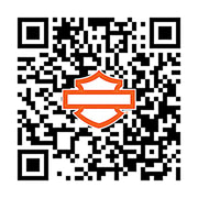 43300483
